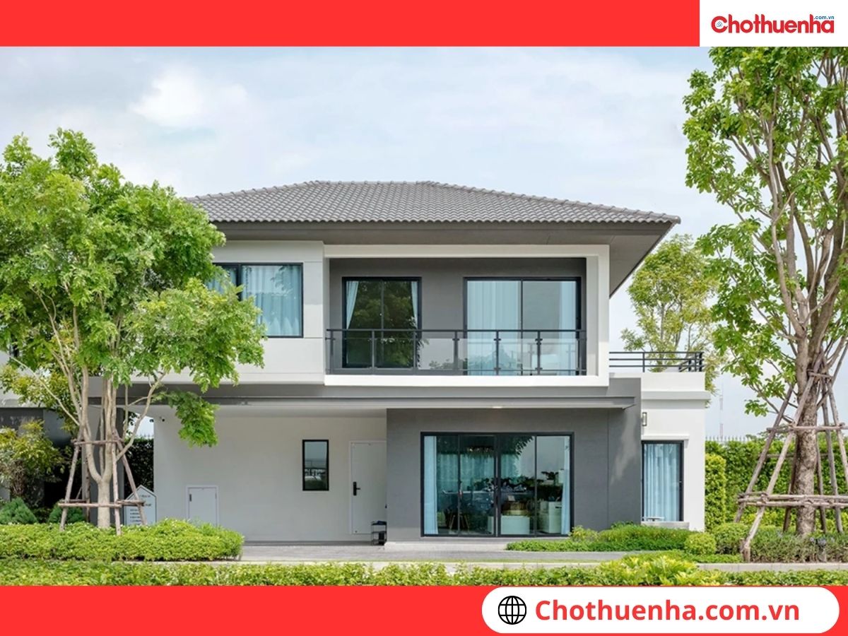 cây to trước cửa nhà 