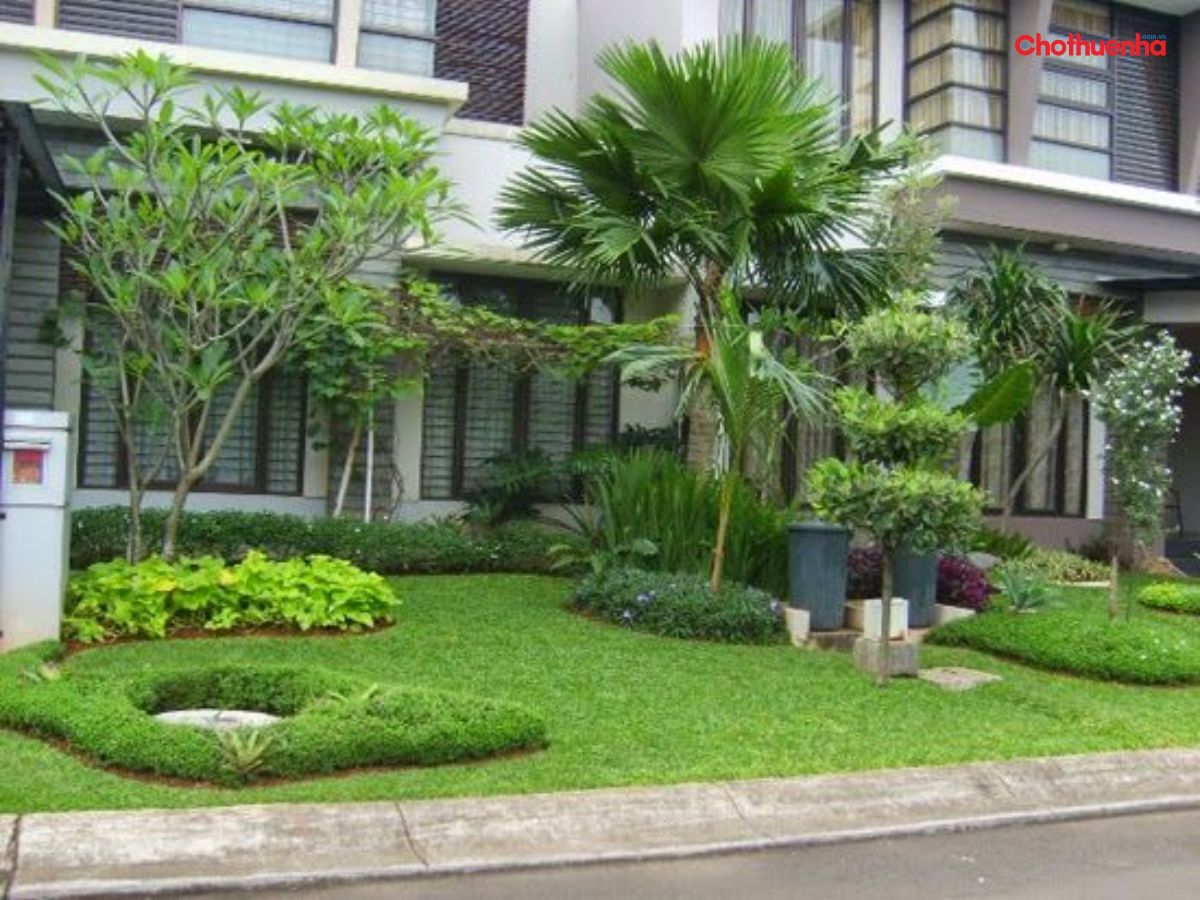 Cắt tỉa tán cây 