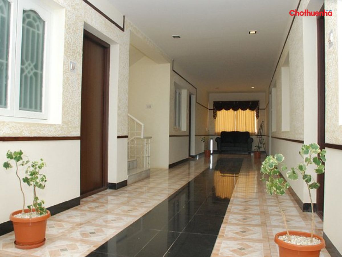 đặt chậu cây ở hai cửa nhà đôi diện nhau