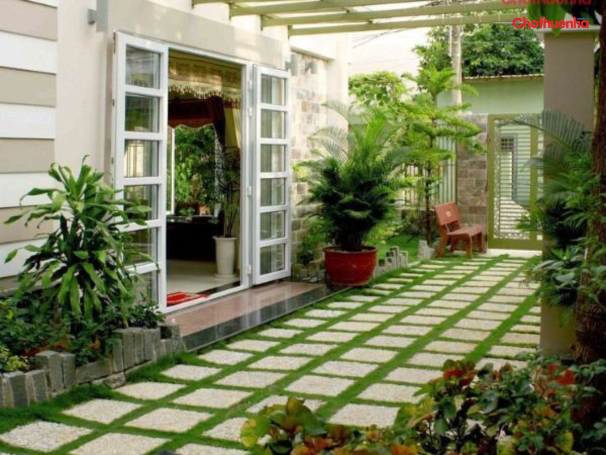 Trồng cây xanh phù hợp phong thủy  